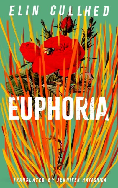 Euphoria, Hardback Book Euphoria, Hardback Book