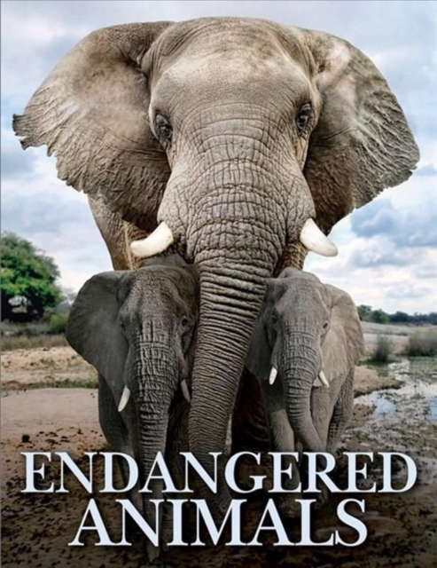 Endangered Animals, Hardback Book