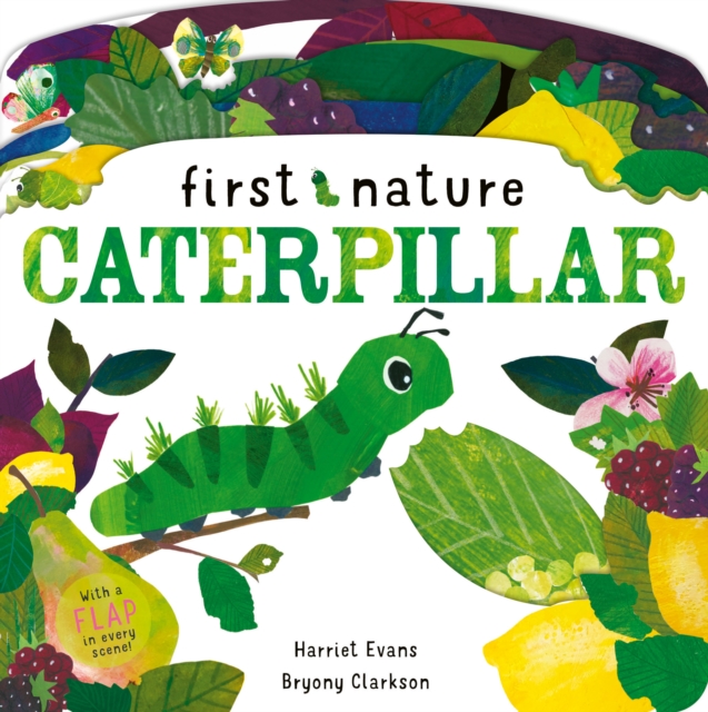 Caterpillar, Novelty book Book