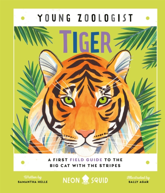 Tiger (Young Zoologist) : A First Field Guide to the Big Cat with the Stripes, Hardback Book