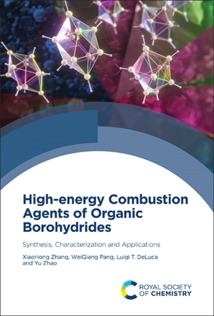 High-energy Combustion Agents of Organic Borohydrides : Synthesis, Characterization and Applications, Hardback Book