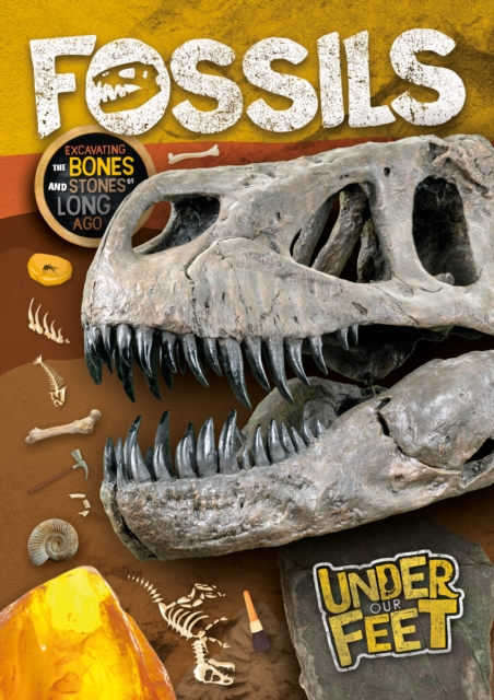 Fossils, Paperback / softback Book
