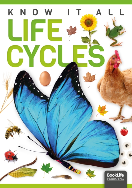 Life Cycles, Hardback Book