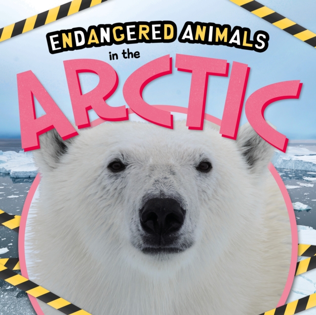 In the Arctic, Hardback Book