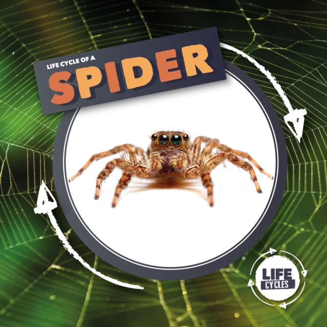 Life Cycle Of A Spider, Hardback Book