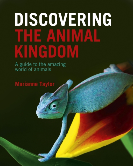 Discovering The Animal Kingdom : A guide to the amazing world of animals, Hardback Book