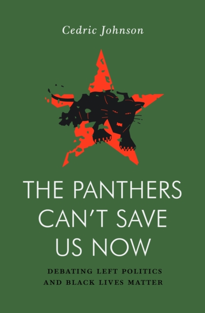 The Panthers Can't Save Us Now : Debating Left Politics and Black Lives Matter, EPUB eBook