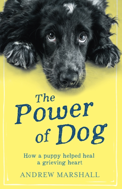 The Power of Dog, EPUB eBook