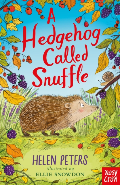 A Hedgehog Called Snuffle, EPUB eBook