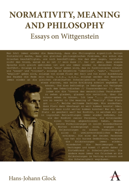 Normativity, Meaning and Philosophy: Essays on Wittgenstein, Hardback Book