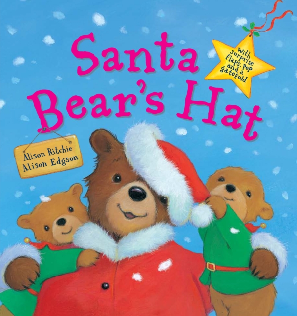 The Christmas Hat, Hardback Book