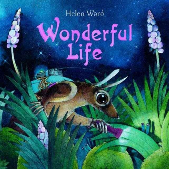 Wonderful Life, Hardback Book