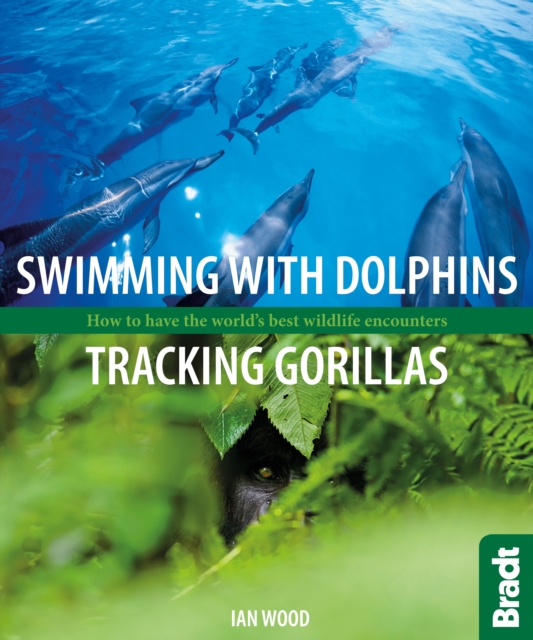 Swimming with Dolphins, Tracking Gorillas : How to have the world's best wildlife encounters, Paperback / softback Book