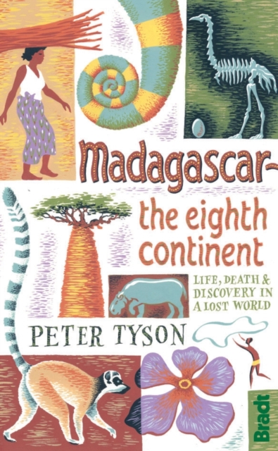 Madagascar: The Eighth Continent : Life, Death and Discovery in a Lost World, Paperback / softback Book
