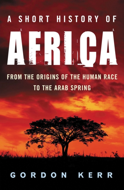 A Short History of Africa : From the Origins of the Human Race to the Arab Spring, Paperback / softback Book