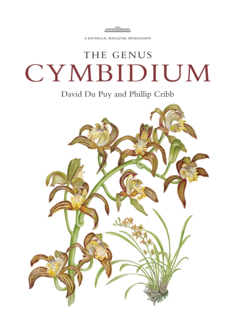 Botanical Magazine Monograph. The Genus Cymbidium, Hardback Book