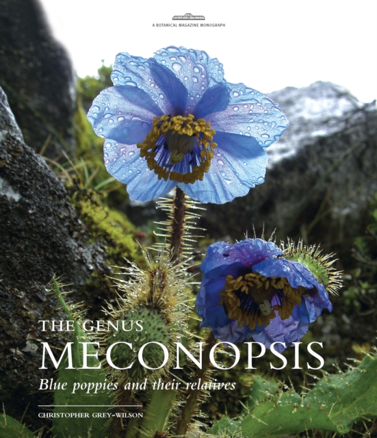 The Genus Meconopsis : Blue poppies and their relatives, PDF eBook