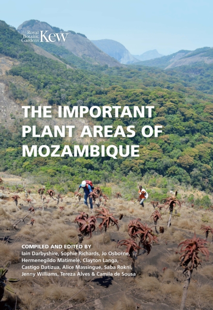 The Important Plant Areas of Mozambique, Paperback / softback Book