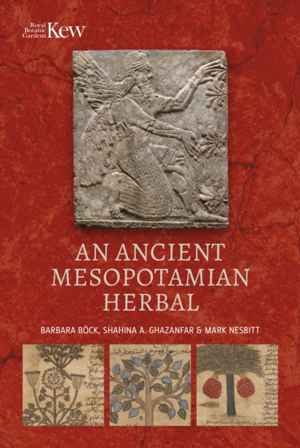 An Ancient Mesopotamian Herbal, Hardback Book