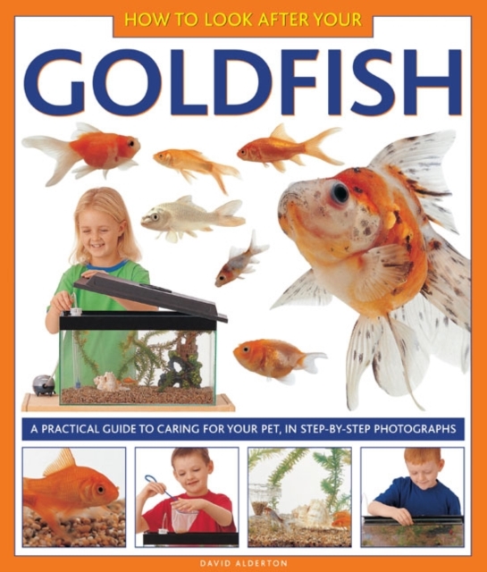 How to Look After Your Goldfish, Hardback Book