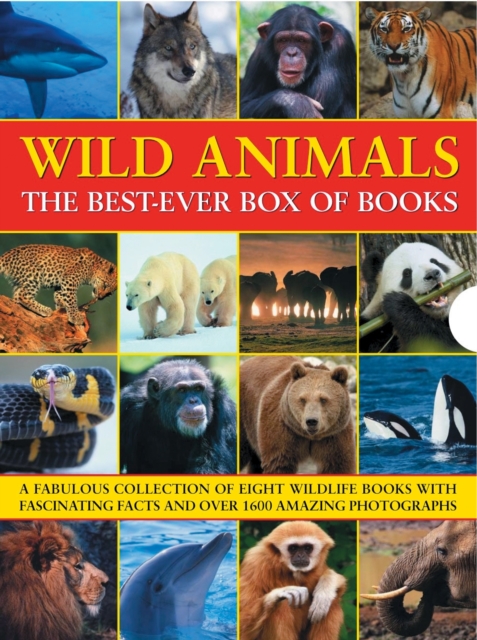 Wild Animals Best Ever Box of Books, Paperback / softback Book