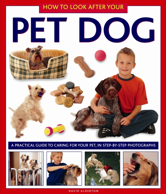 How to Look After Your Pet Dog, Hardback Book