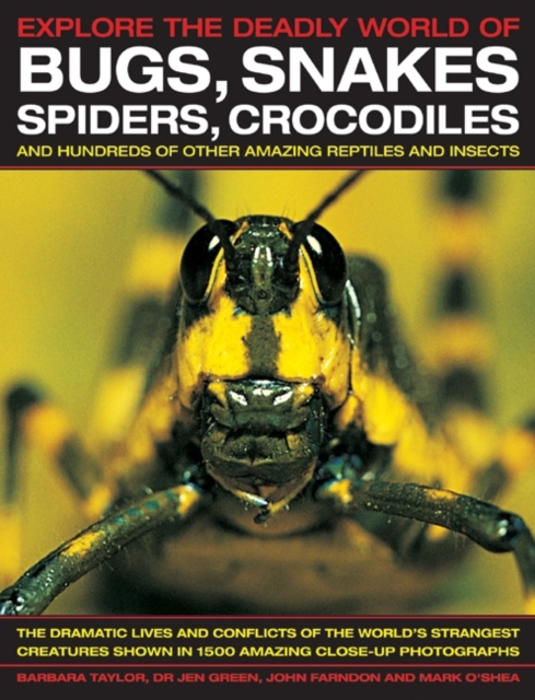 Explore the Deadly World of Bugs, Snakes, Spiders, Crocodiles, Paperback / softback Book