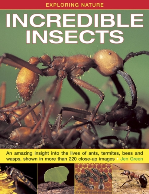 Exploring Nature: Incredible Insects : An Amazing Insight into the Lives of Ants, Termites, Bees and Wasps, Shown in More Than 220 Close-up Images, Hardback Book
