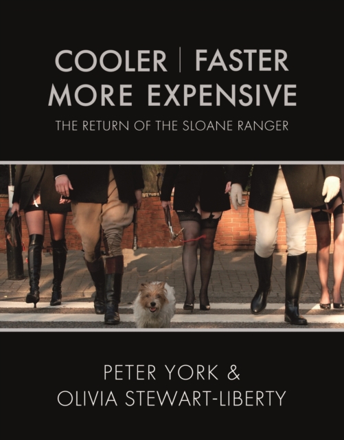 Cooler, Faster, More Expensive : The Return of the Sloane Ranger, Hardback Book