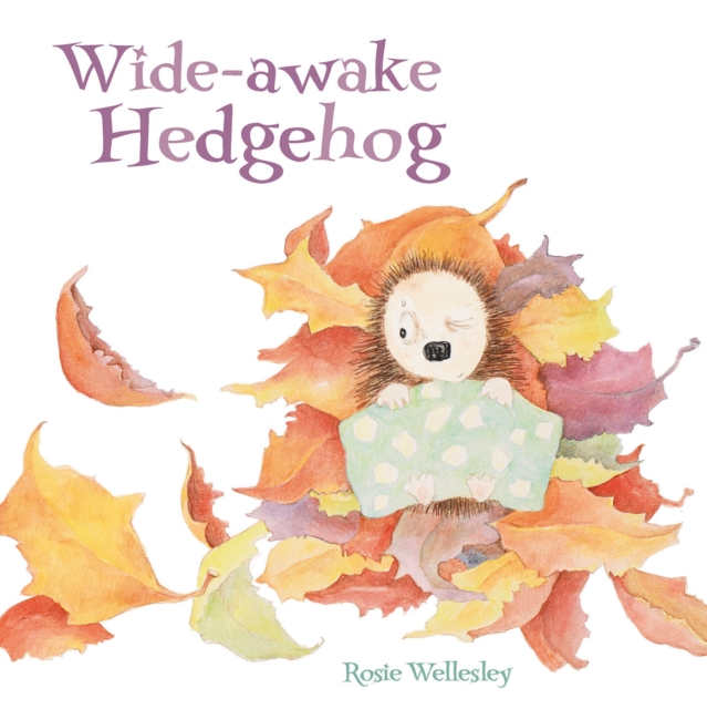 Wide-awake Hedgehog, Paperback / softback Book