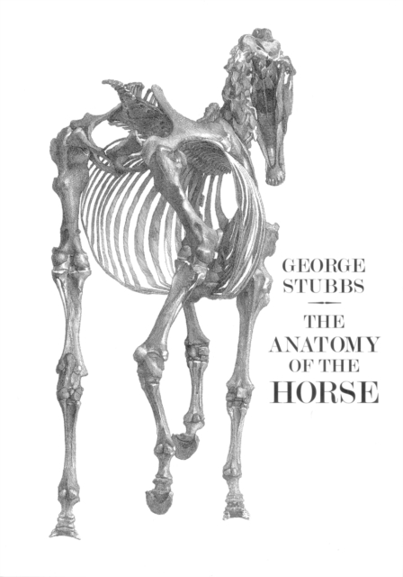 Anatomy of the Horse, Paperback / softback Book