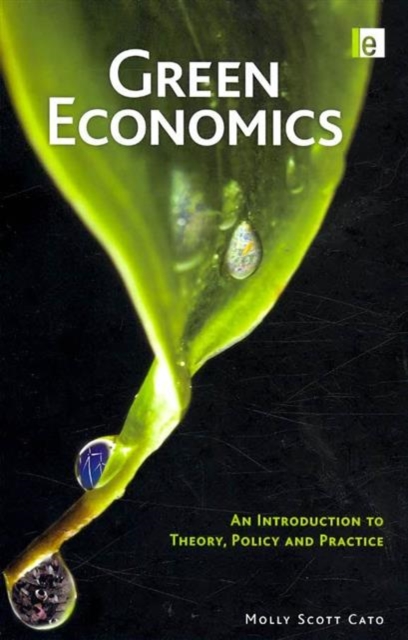 Green Economics : An Introduction to Theory, Policy and Practice, Hardback Book