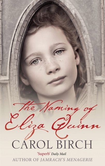 The Naming Of Eliza Quinn, Paperback / softback Book