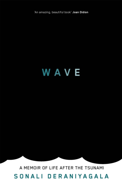 Wave : A Memoir of Life After the Tsunami, Paperback / softback Book