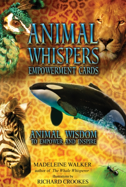 Animal Whispers Empowerment Cards : Animal Wisdom to Empower and Inspire, Cards Book