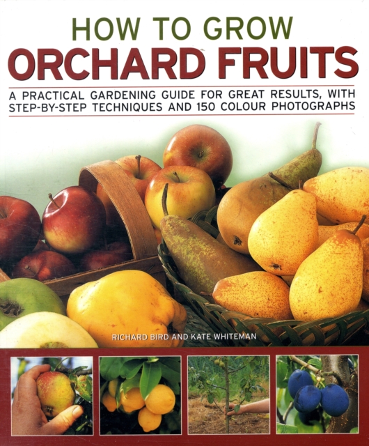 How to Grow Orchard Fruit, Paperback Book