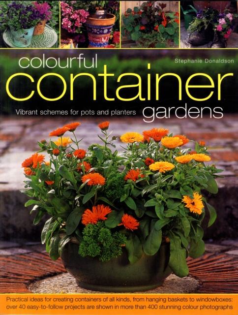 Colourful Container Gardens : Vibrant Schemes for Pots and Planters, Paperback Book