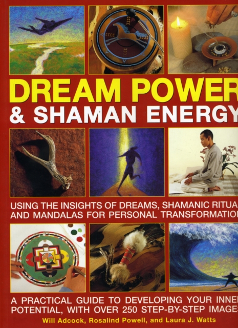Dream Power and Shaman Energy, Paperback / softback Book
