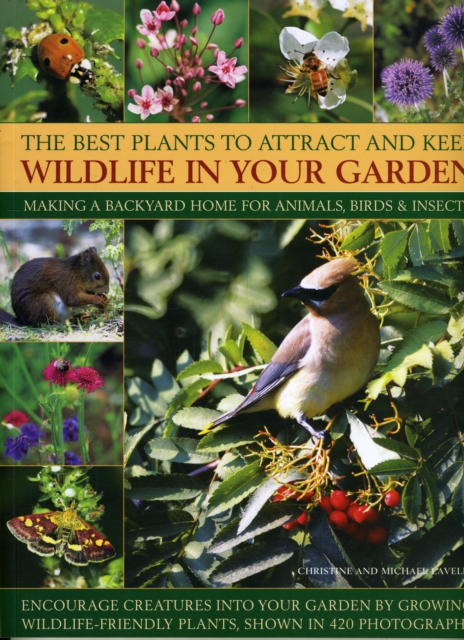 Best Plants to Attract and Keep Wildlife in the Garden, Paperback / softback Book