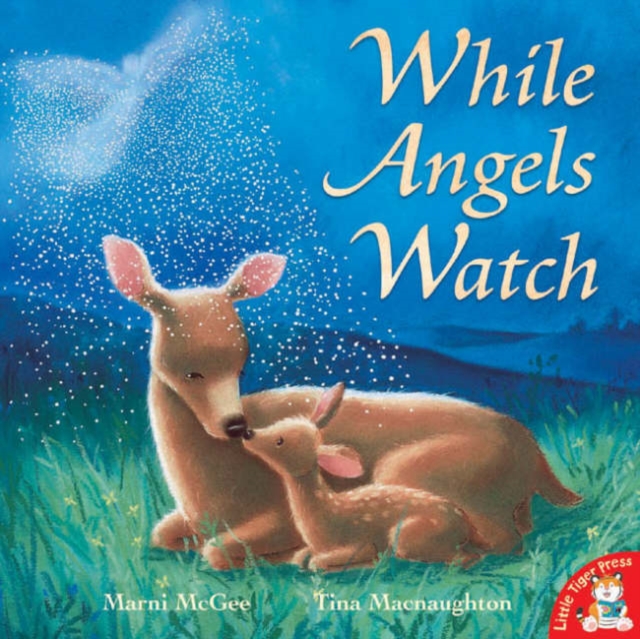 While Angels Watch, Paperback / softback Book