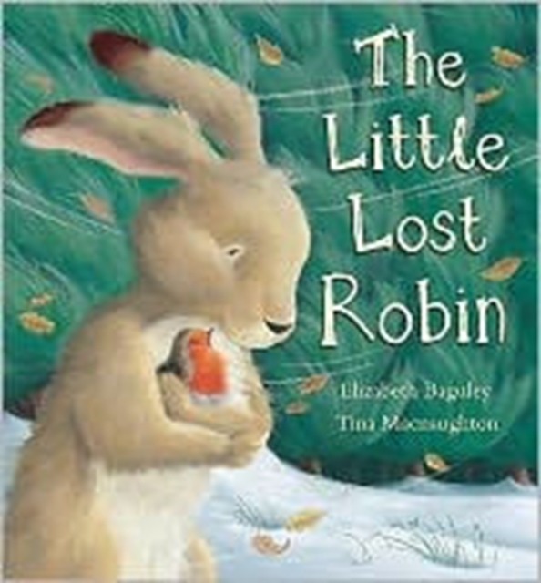 The Little Lost Robin, Hardback Book