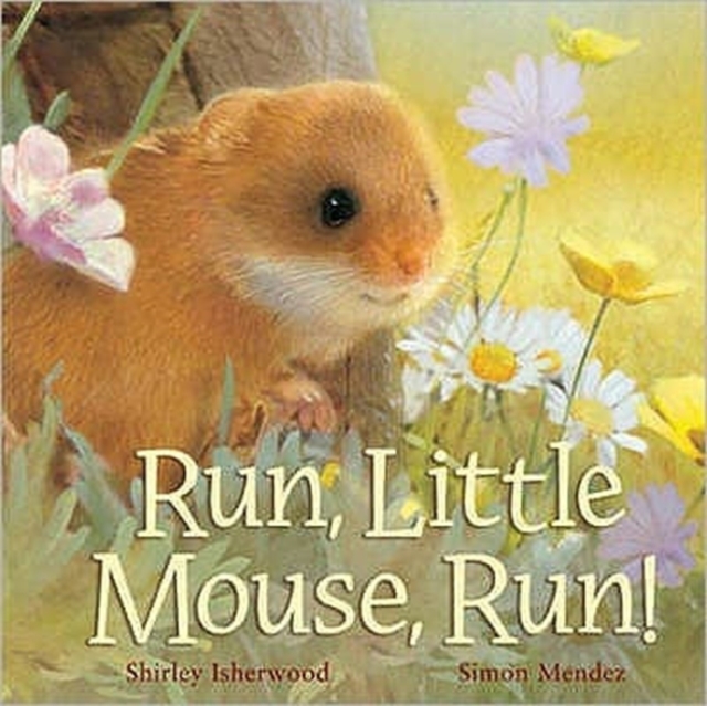Run, Little Mouse, Run!, Hardback Book