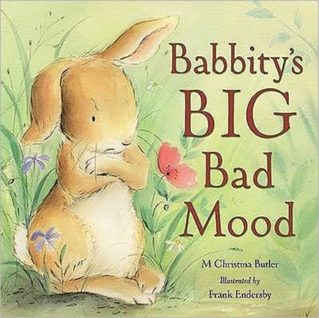 Babbity's Big Bad Mood, Hardback Book