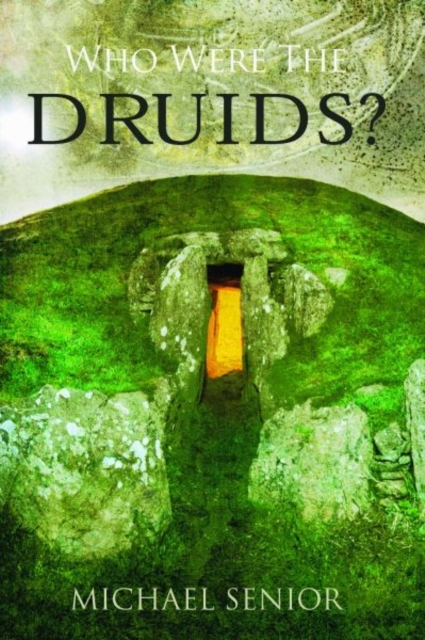 Who Were the Druids?, Paperback / softback Book