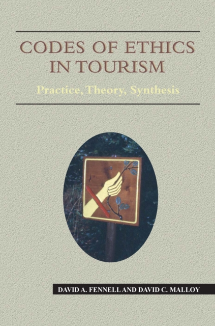 Codes of Ethics in Tourism : Practice, Theory, Synthesis, PDF eBook