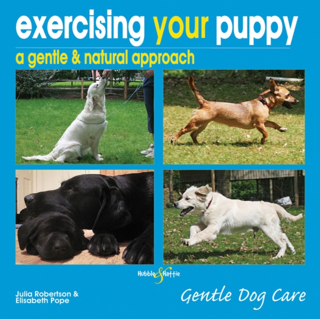 Exercising Your Puppy, Paperback / softback Book
