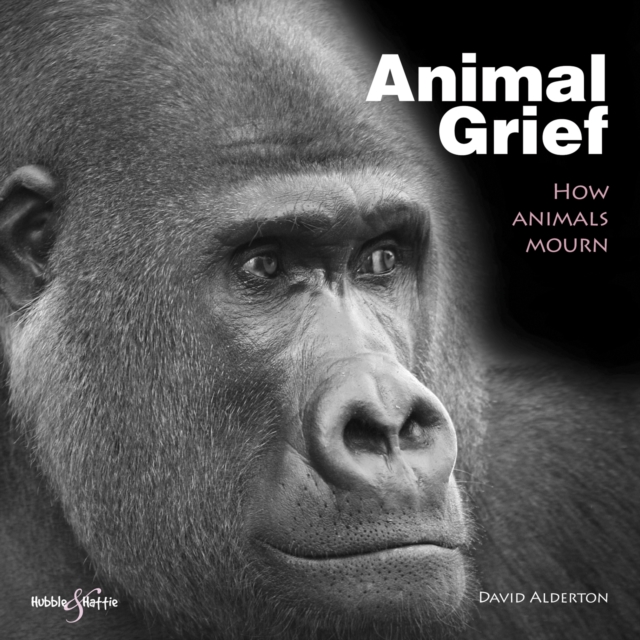 Animal Grief : How Animals Mourn, EPUB eBook