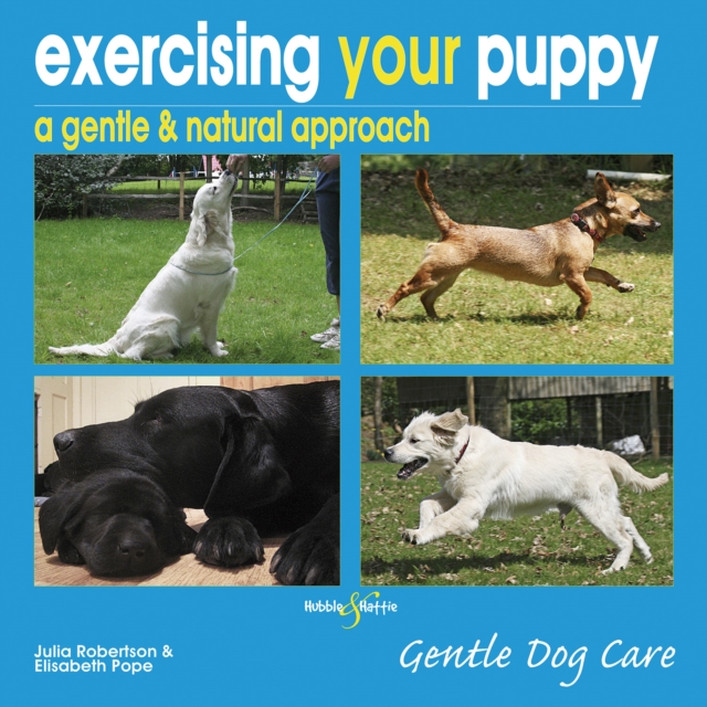 Exercising Your Puppy: A Gentle & Natural Approach : Gentle Dog Care, EPUB eBook