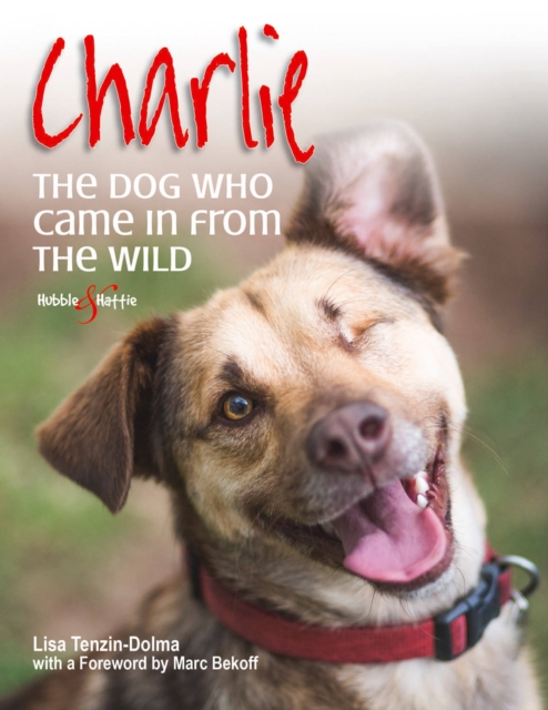 Charlie: the Dog Who Came in from the Wild, Paperback / softback Book