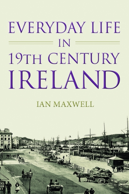 Everyday Life in 19th Century Ireland, Paperback / softback Book